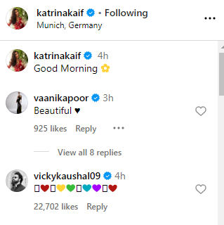 Katrina Kaif Husband Vicky Kaushal 