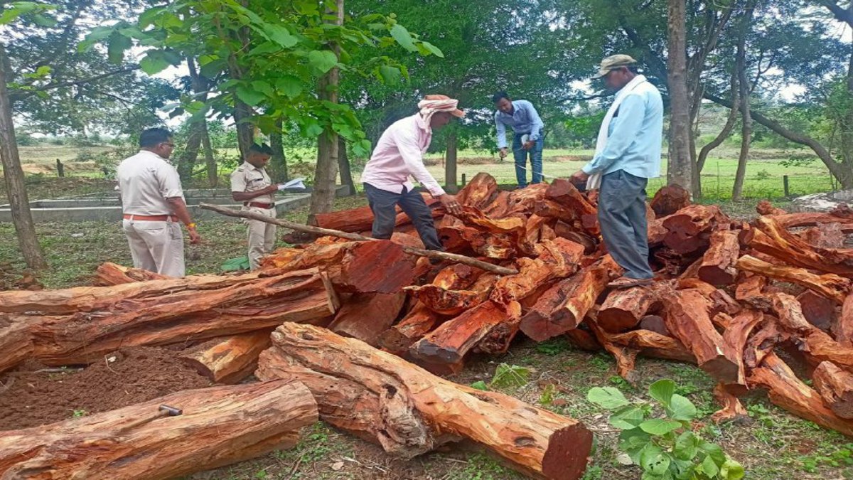CG wood smuggling