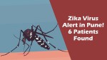 Zika Virus की दहशत, 6 मामले सामने आए, 2 गर्भवती महिलाएं भी शामिल, कई इलाकों में
फॉगिंग - image