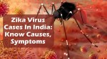 पुणे में जीका वायरस: दो मामले सामने, जानें लक्षण और बचाव के तरीके - image
