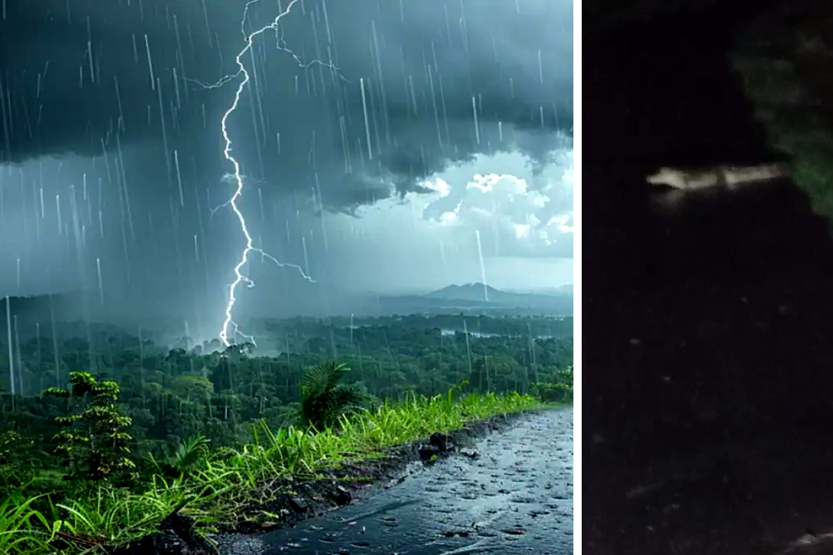 Heavy Rain Alert : आगर मालवा में भारी बारिश की चेतावनी, बारिश के बीच यहां सड़क
पर घूम रहा है मगरमच्छ, Video