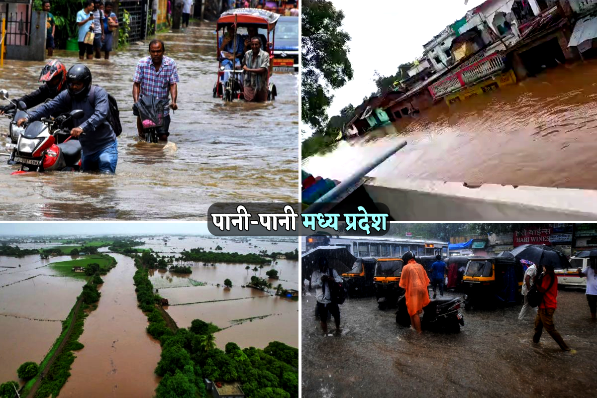 katni flood