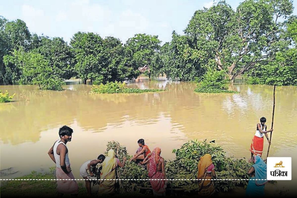 Bijapur Weather Update: टापू बन गया धुर नक्सली इलाका… नदी नाले उफान पर, नहीं थम
रहा बारिश