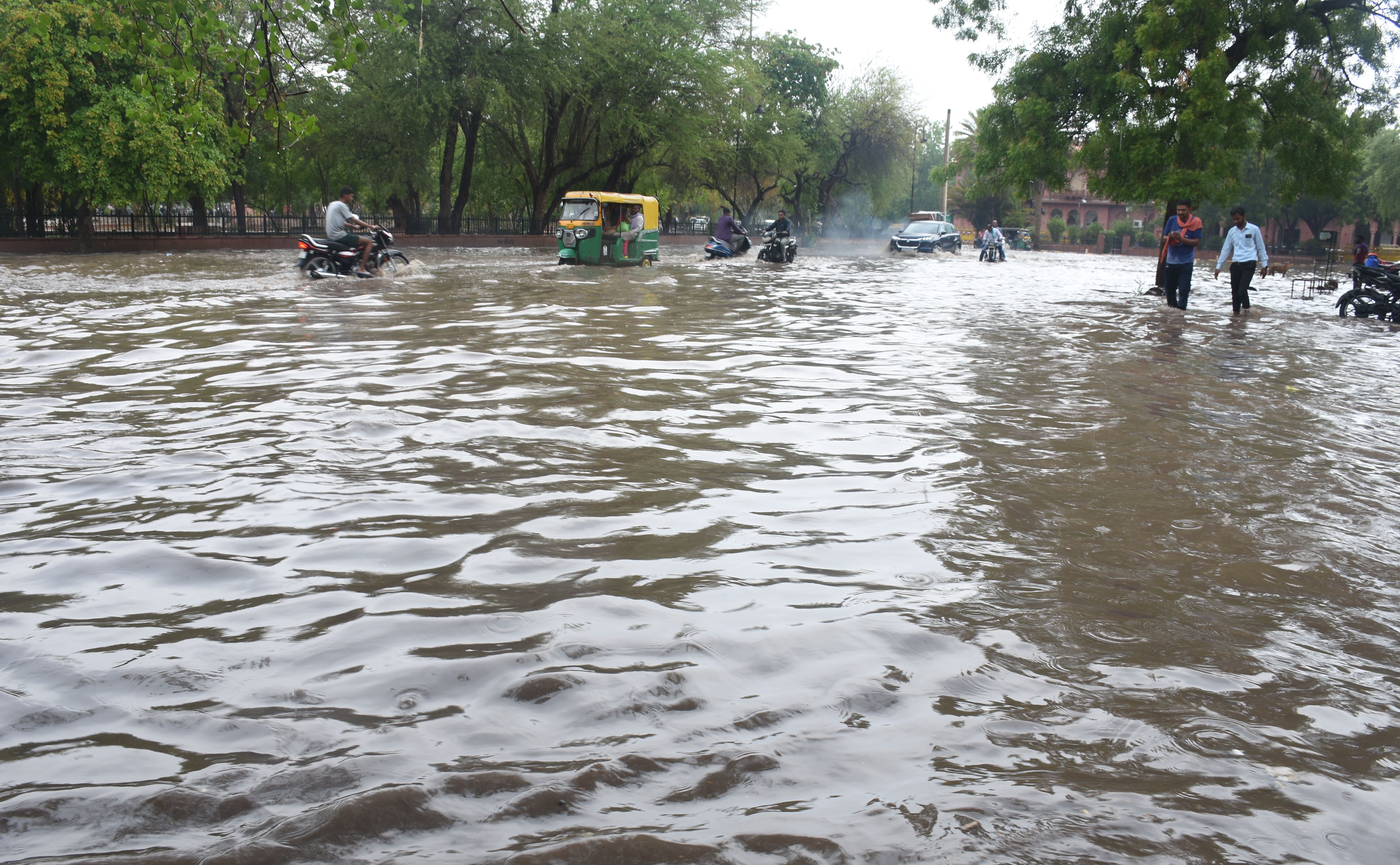 चुल्लू भर पानी में डूबे नगर निगम के दावे9 मिमी बारिश में बह निकला दरिया