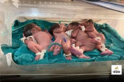 Chhattisgarh News: छत्तीसगढ़ में महिला ने 4 बच्चों को एक साथ दिया जन्म,
जच्चा-बच्चा दोनों सुरक्षित - image