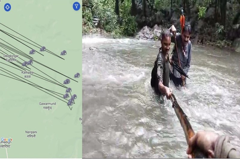 Chhattisgarh Elephant