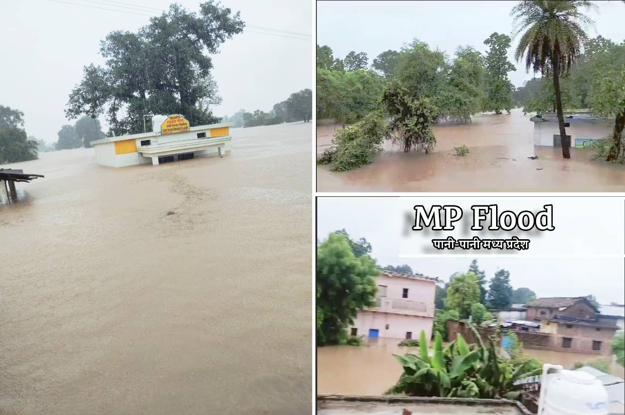 Flood in Katni: आसमान से बरसी आफत, 18 गांव बने टापू, चार गांवों में बाढ़ के
हालात, Watch Video