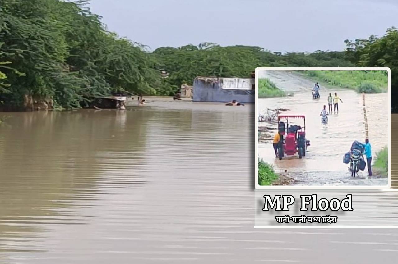 Flood In Morena: क्वारी नदी में अचानक आई बाढ़, दर्जनों गांवों से टूटा संपर्क