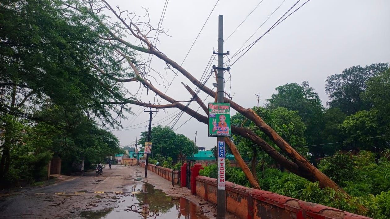 तूफानी हवाओं के साथ बारिश में गड़बड़ाया विद्युत तंत्र, दर्जनों पोल-ट्रांसफार्मर
गिरने से अंधेरे में रहा शहर