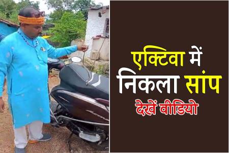 jabalpur snake