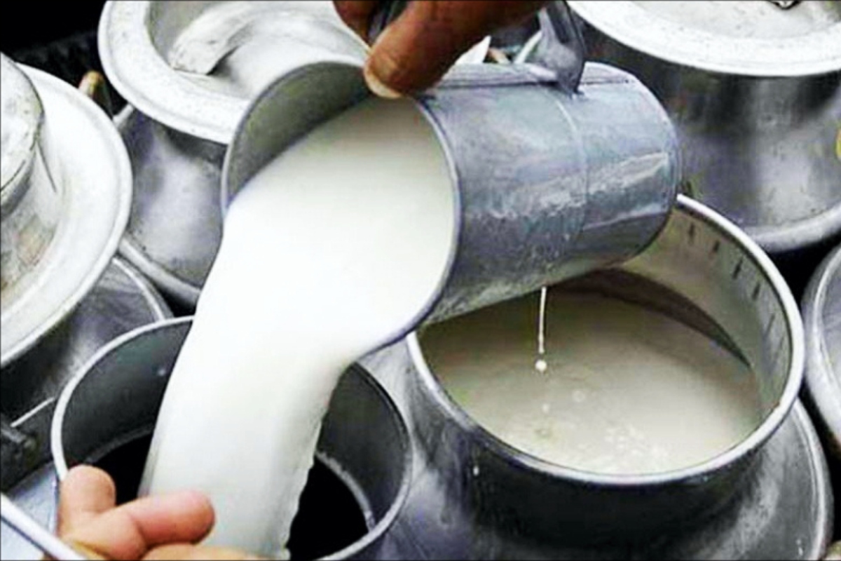 करौली- सवाई माधोपुर- गंगापुर सिटी में बढ़ेगी दूध की धार