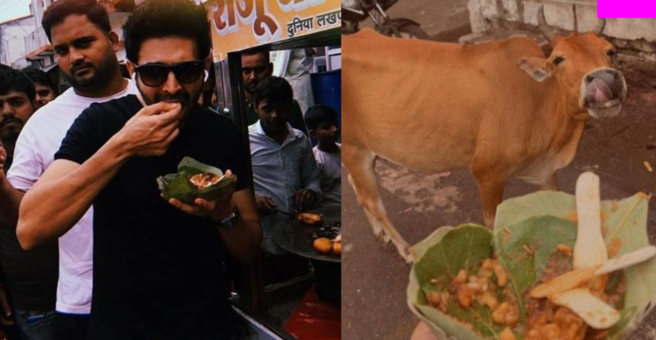 kartikaryanhat