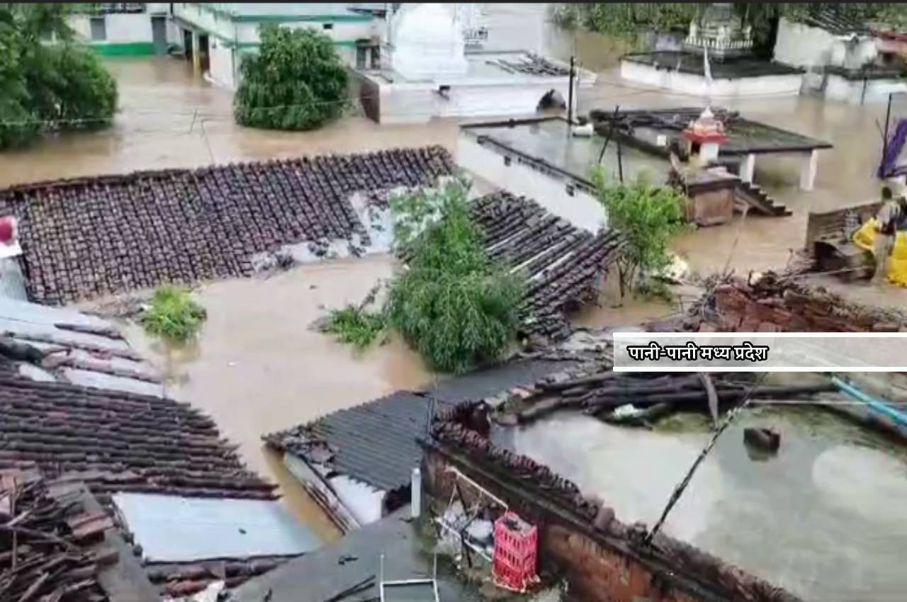 Flood in Katni: बाढ़ से बिगड़े हालात, कई गांव तबाह, छतों और पेड़ों का सहारा,
VIDEO में देखें तबाही का मंजर