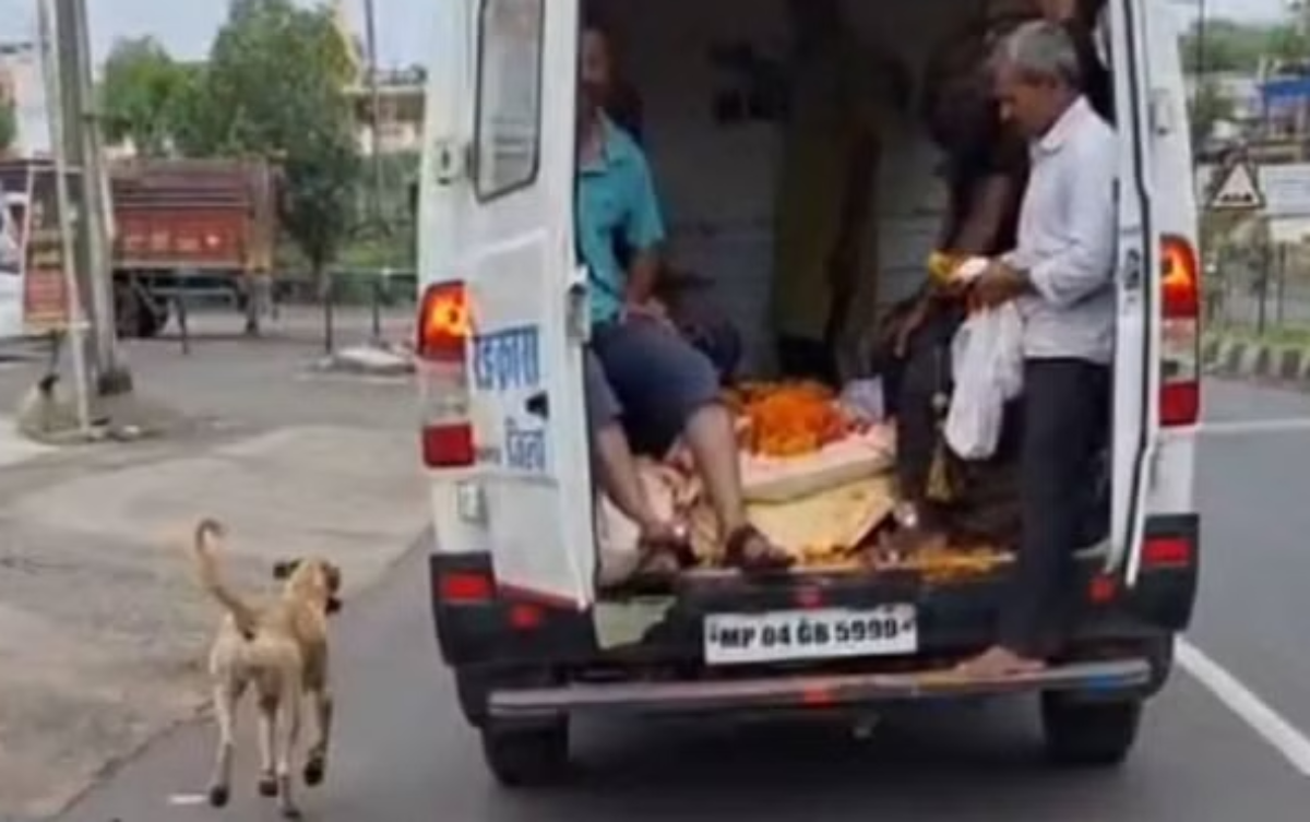 मौत से हो उठा बेचैन, अंतिम यात्रा में मालिक के शव के पीछे दौड़ता रहा दुखी कुत्ता