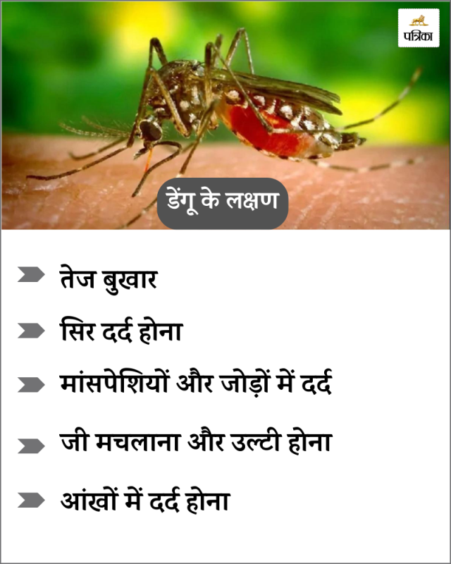 dengue