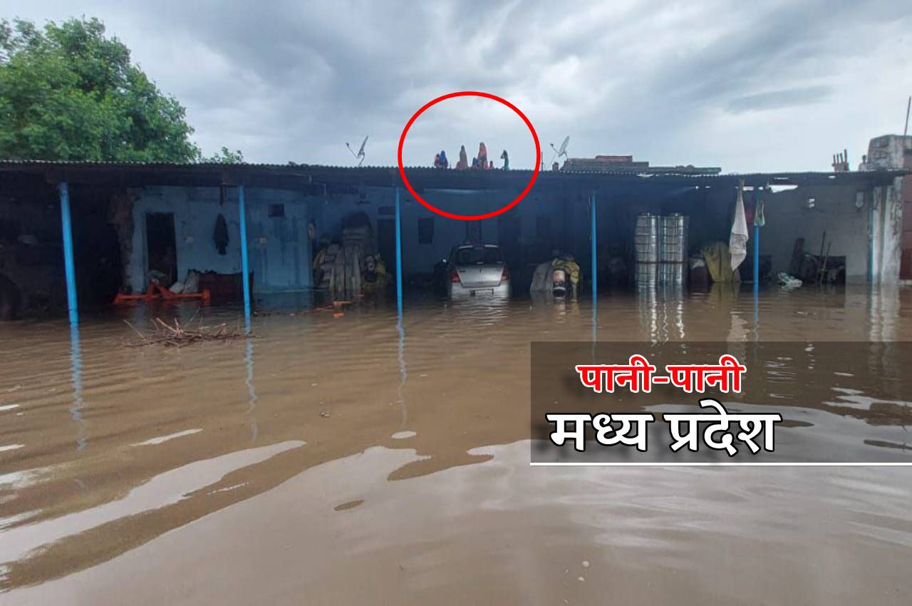 MP Flood: एमपी में बारिश का कहर, घरों में पानी भरा, लोग छतों पर रहने को मजबूर,
Video और तस्वीरों में देखें हाल