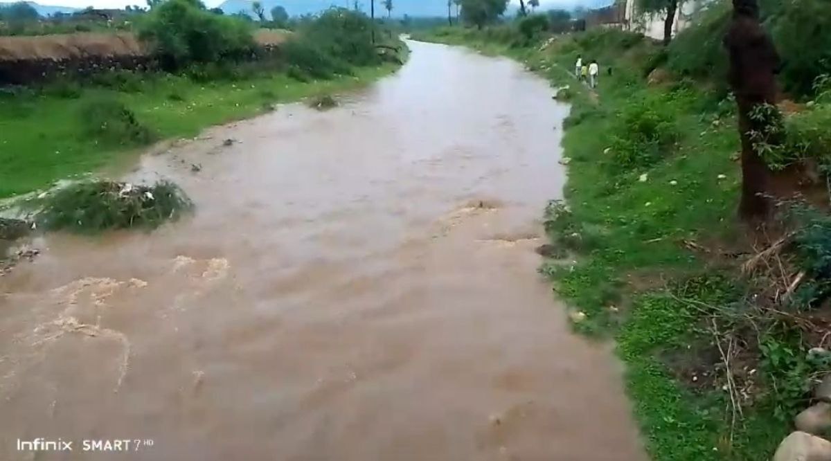 झमाझम बारिश के बाद रूपारेल नदी का पानी पहुंच रहा जयसमंद बांध में, देखें वीडियो 