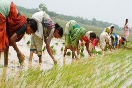 Monsoon 2024