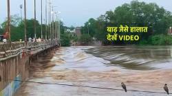 MP Flood: भारी बारिश से कई जिलों में बाढ़ जैसे हालात, श्योपुर-शिवपुरी में पानी
ही पानी - image