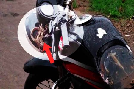 snake in bike