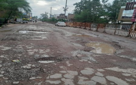 गड्ढों में तब्दील हो गई नया बस स्टैंड की सडक़