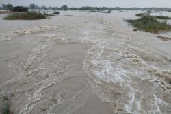 Rajasthan : टोंक में बाढ़ जैसे हालात, आज स्कूलों की छुट्टी, बीकानेर में बारिश के
चलते 3 लोगों की मौत - image