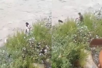 Short video poster image