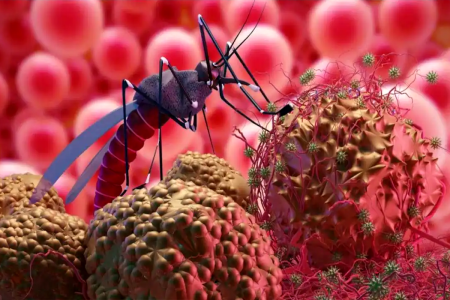 Chandipura Virus