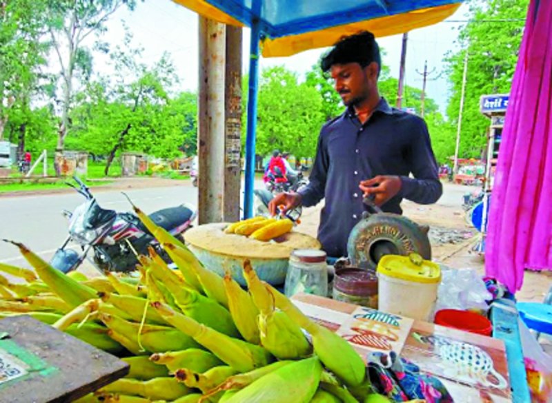 लोगों की पसंद बना स्वीट कॉर्न, जहां-तहां लगे हाथ ठेले