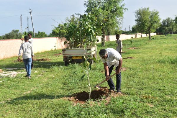 Started from the 15th foundation day of Rajasthan Patrika Nagaur edition, plantation done under Haryaalo Rajasthan campaign
