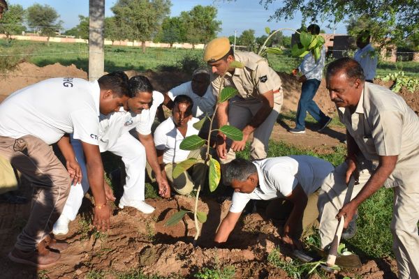 Started from the 15th foundation day of Rajasthan Patrika Nagaur edition, plantation done under Haryaalo Rajasthan campaign