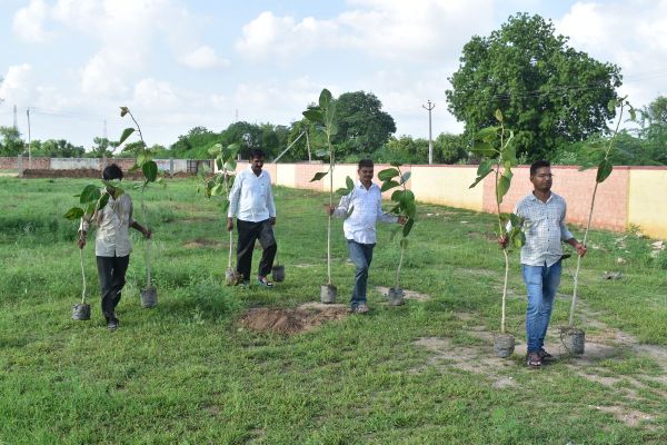 Started from the 15th foundation day of Rajasthan Patrika Nagaur edition, plantation done under Haryaalo Rajasthan campaign