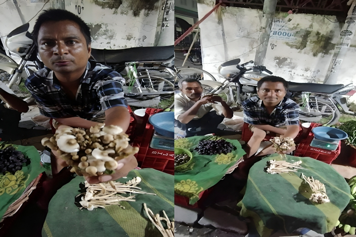 Lucknow Vegetable Market