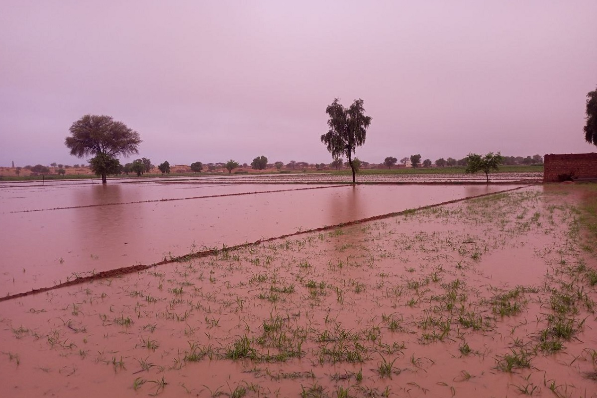 MonsoonRain : प्रदेश में आज भी तेज बारिश की चेतावनी, जयपुर में बादल छाए
