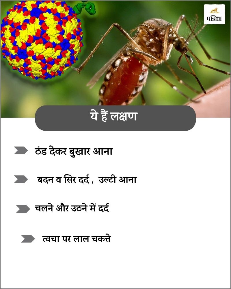 Dengue