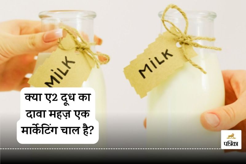 A1 and A2: The Real Story Behind the Milk Controversy