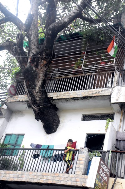 Short video poster image