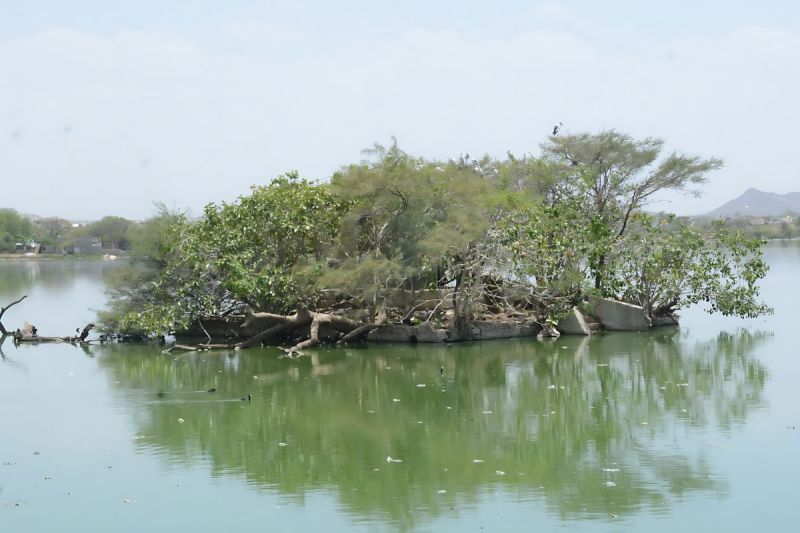 Bichadli pond Beawar