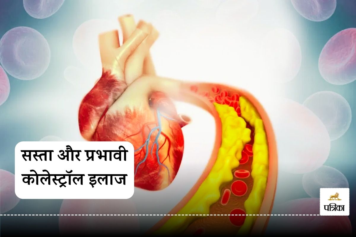 Indian Scientists Find Breakthrough in Cholesterol Management