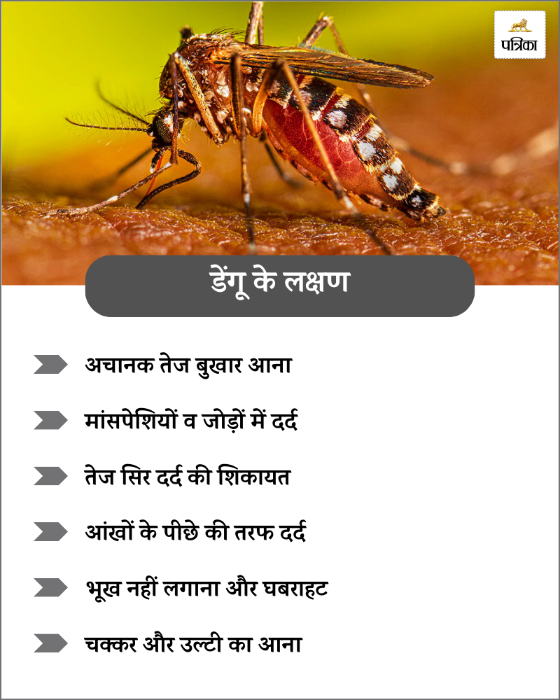 Dengue Cases in Barmer