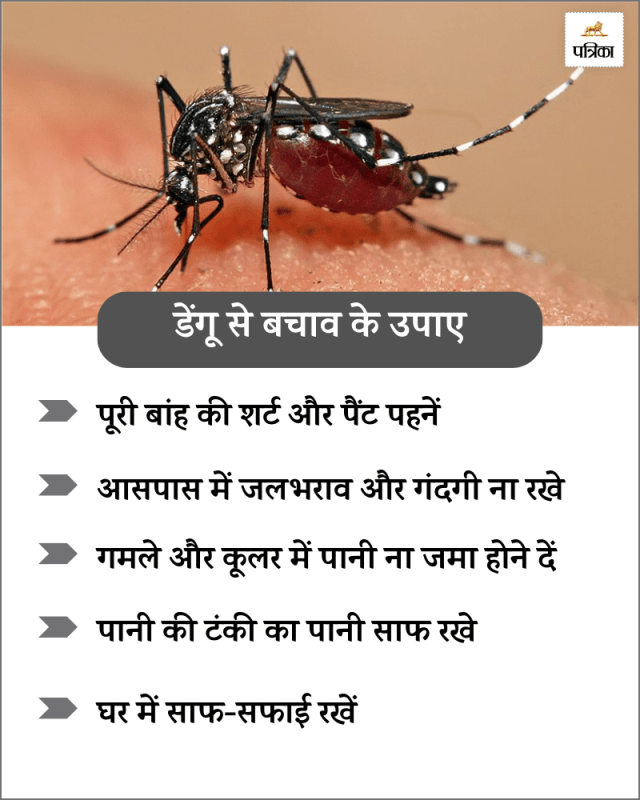 Dengue Havoc