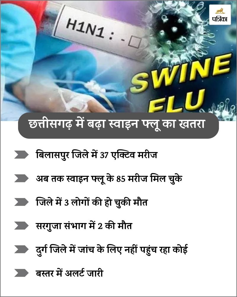 Swine Flu in Bilaspur: बढ़ा स्वाइन फ्लू का खतरा, जिले में 37 एक्टिव मरीज, दहशत में आए लोग