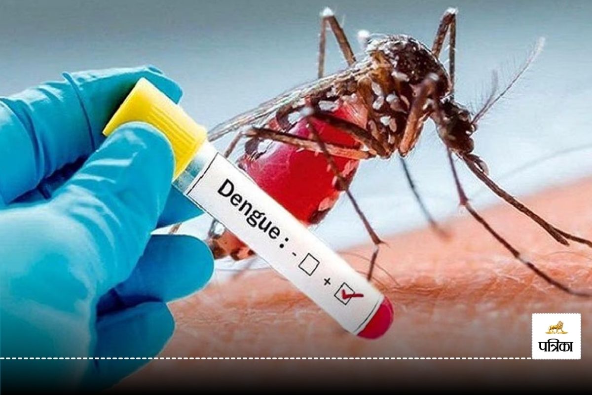 Dengue : कॉलेज में डेंगू ने लगा दी ‘क्लास’, 6 प्रोफेसर्स पीड़ित, 2 कर्मचारी भी
बीमार