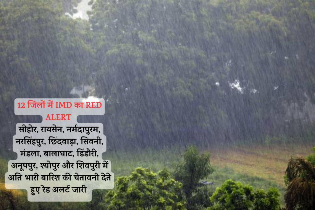 Heavy Rainfall Alert