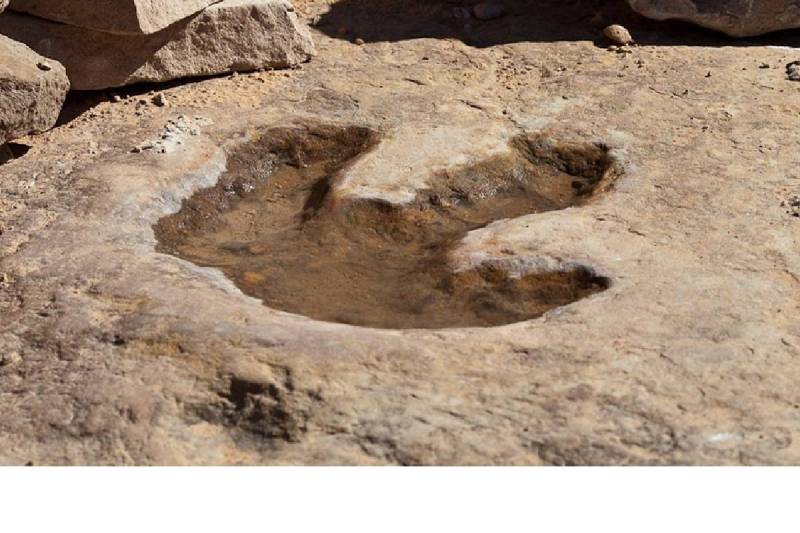 Dinosaur Footprints