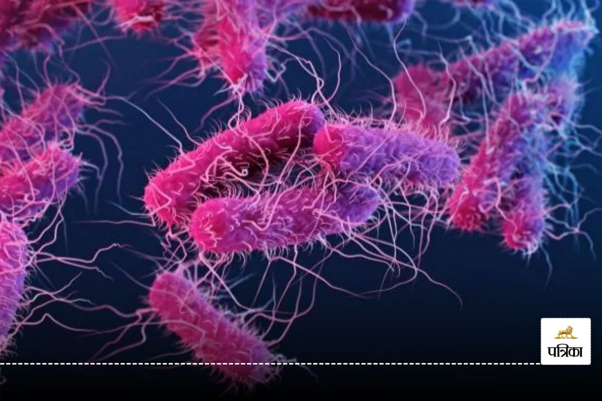 E-coli infection