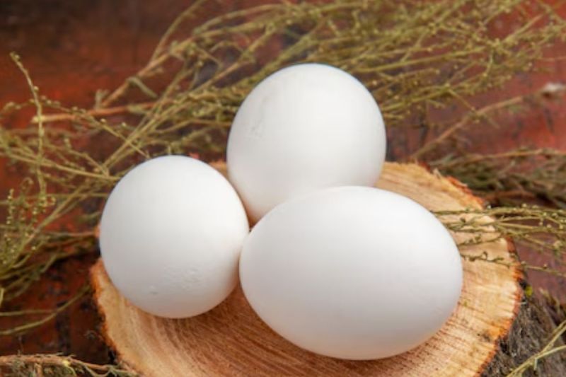 mid-day meal Maharashtra