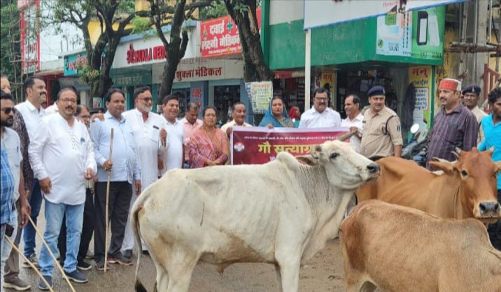 Gau Satyagrah