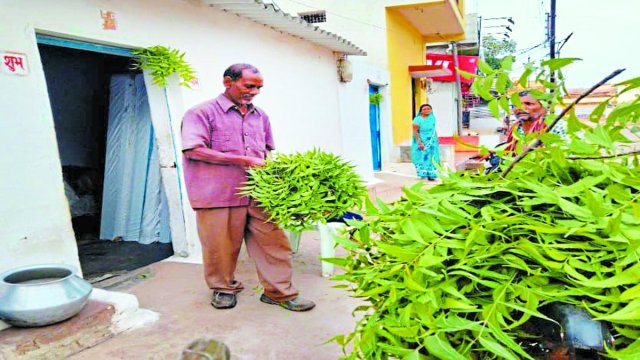 हरेली पर्व रविवार को जिला मुख्यालय सहित ग्रामीण क्षेत्रों में परंपरागत तरीके से मनाया जाएगा। कृषि औजारों व गोधन की विशेष पूजा कर अच्छी फसल की प्रार्थना की जाएगी। 