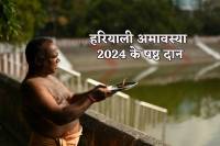 Hariyali Amavasya Dan